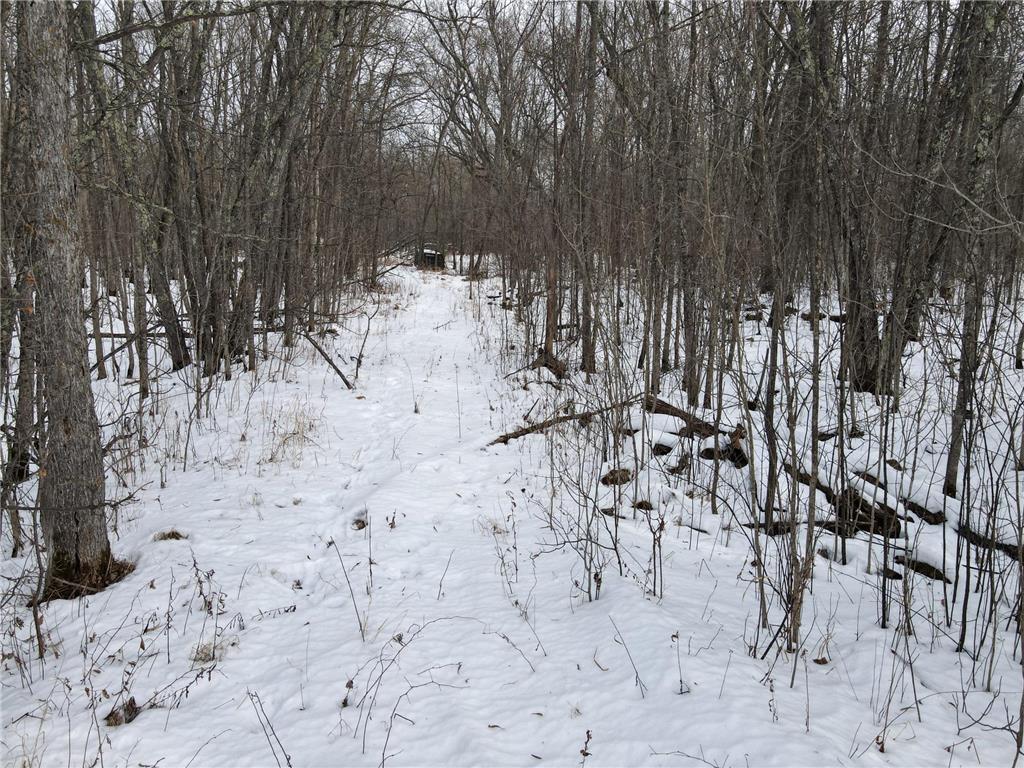 Tbd Co Rd 10 Feeley Twp MN 55793 - Swan River 7001080 image14