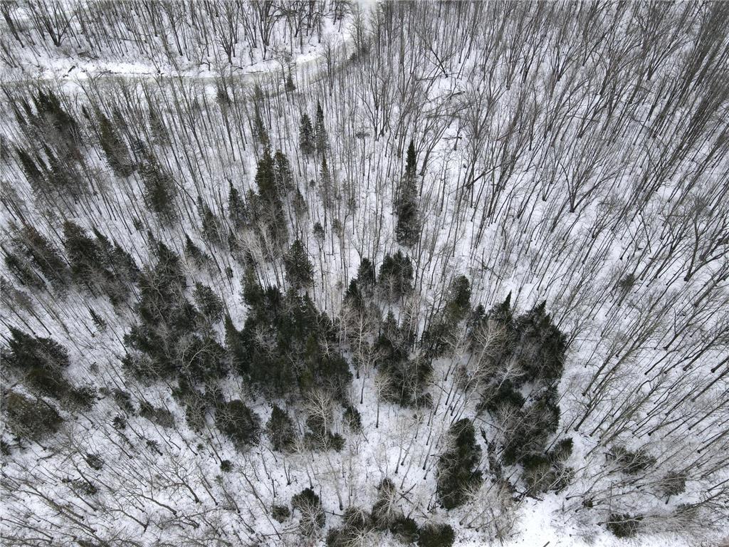 Tbd Co Rd 10 Feeley Twp MN 55793 - Swan River 7001080 image16