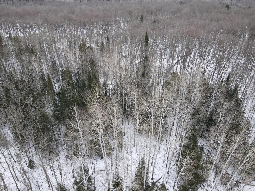 Tbd Co Rd 10 Feeley Twp MN 55793 - Swan River 7001080 image17