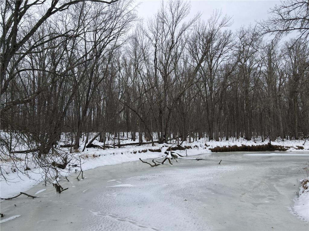 Tbd Co Rd 10 Feeley Twp MN 55793 - Swan River 7001080 image4