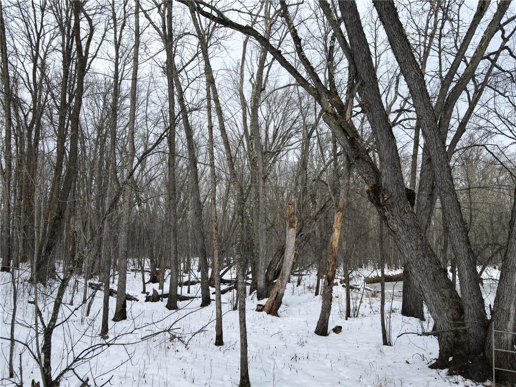 Tbd Co Rd 10 Feeley Twp MN 55793 - Swan River 7001080 image6