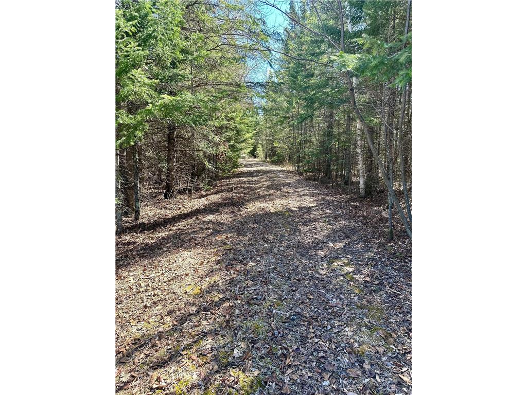 Tbd State Highway 6 Deer River MN 56636 6522413 image1