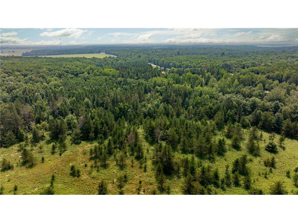 Track A Hwy 87 Backus MN 56435 6772272 image2