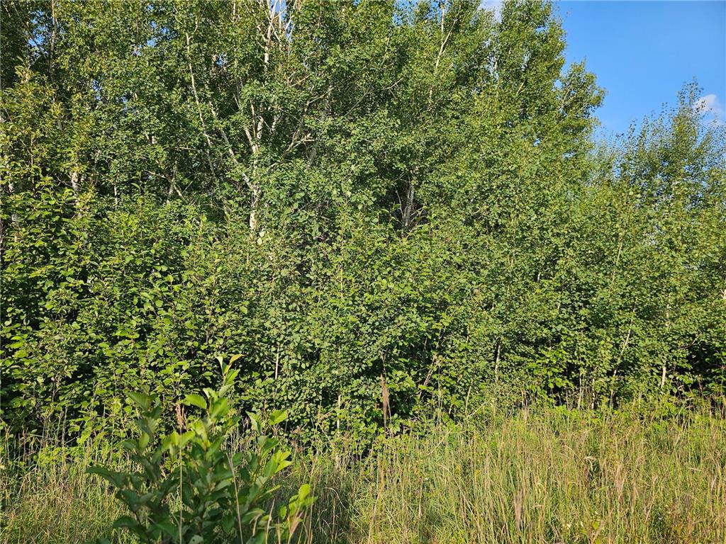 Track A Hwy 87 Backus MN 56435 6772272 image5