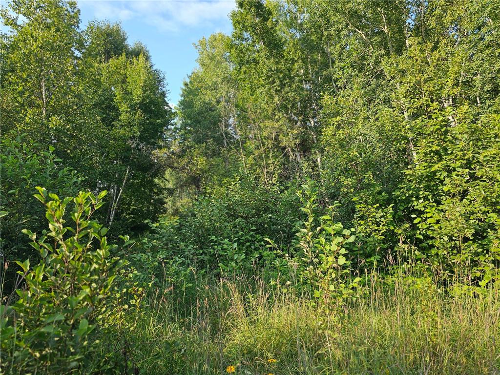 Track A Hwy 87 Backus MN 56435 6772272 image6