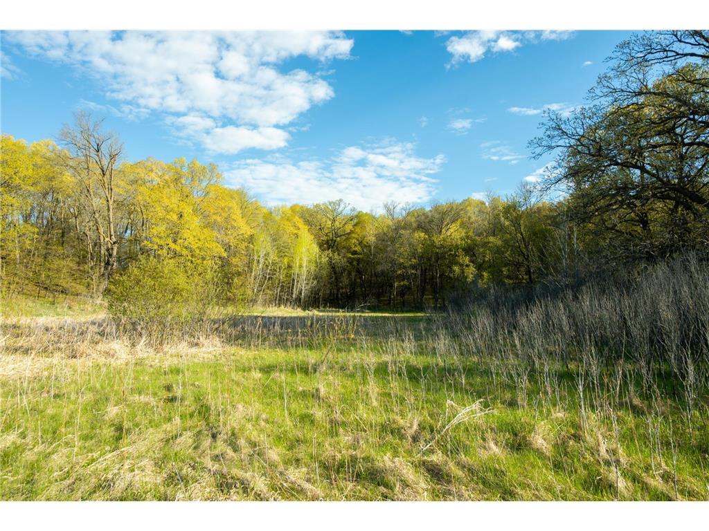 Tract 1 - TBD State Highway 108 Lida Twp MN 56572 7091642 image10