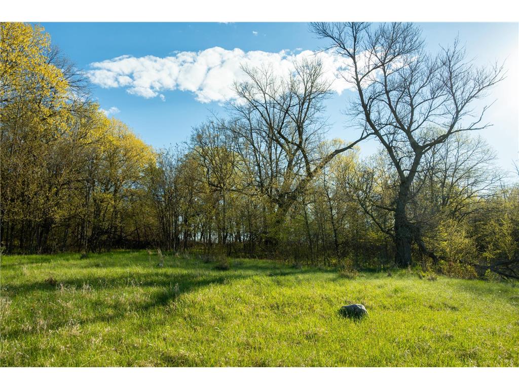 Tract 1 - TBD State Highway 108 Lida Twp MN 56572 7091642 image11