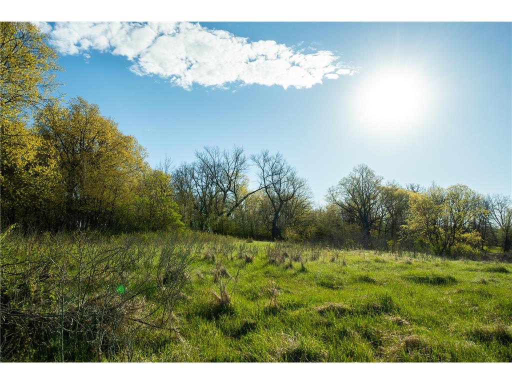 Tract 1 - TBD State Highway 108 Lida Twp MN 56572 7091642 image12