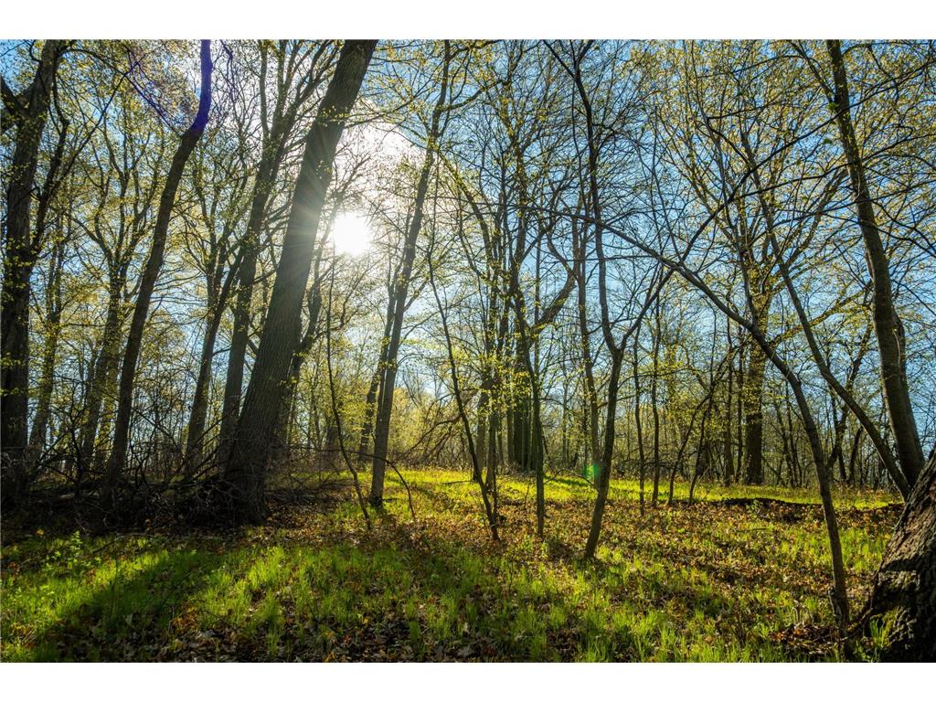 Tract 1 - TBD State Highway 108 Lida Twp MN 56572 7091642 image13