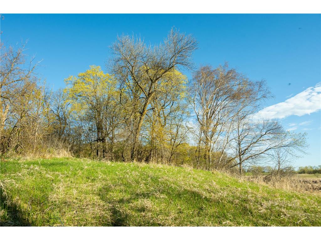 Tract 1 - TBD State Highway 108 Lida Twp MN 56572 7091642 image14