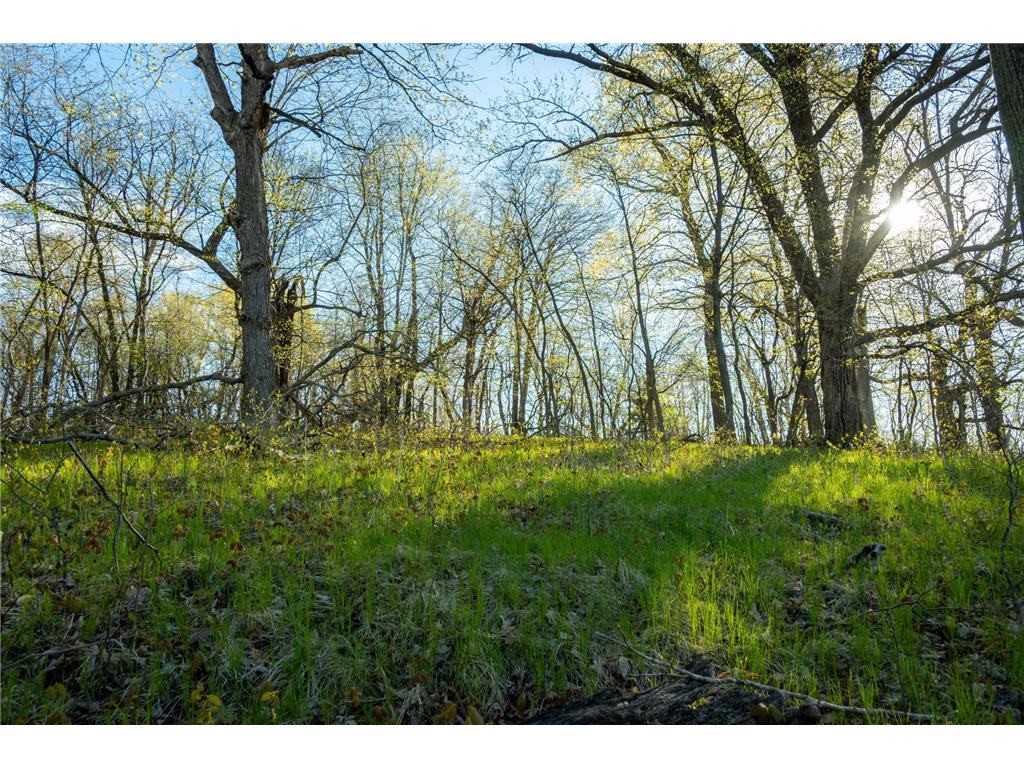 Tract 1 - TBD State Highway 108 Lida Twp MN 56572 7091642 image15