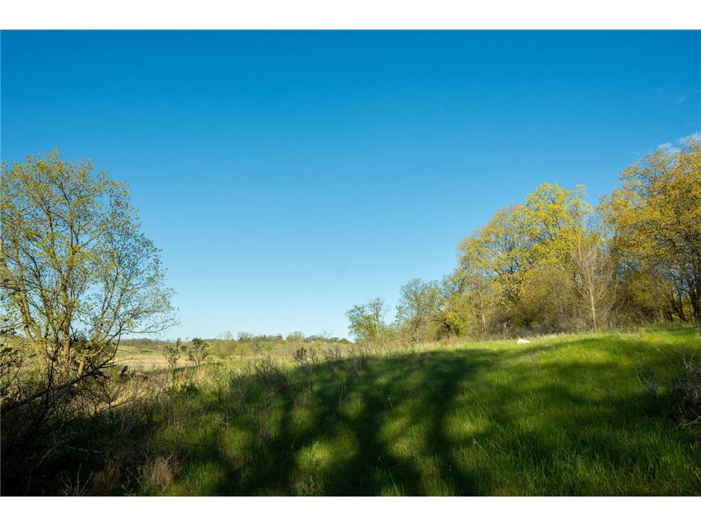 Tract 1 - TBD State Highway 108 Lida Twp MN 56572 7091642 image16