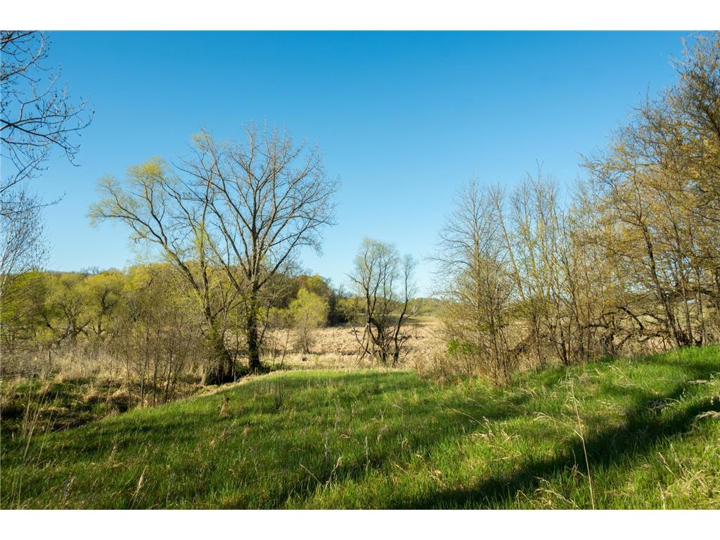 Tract 1 - TBD State Highway 108 Lida Twp MN 56572 7091642 image19