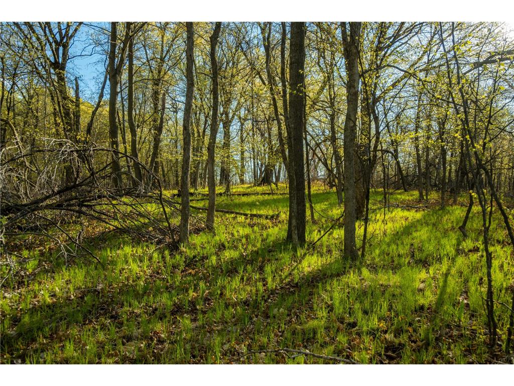 Tract 1 - TBD State Highway 108 Lida Twp MN 56572 7091642 image20
