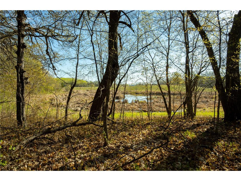 Tract 1 - TBD State Highway 108 Lida Twp MN 56572 7091642 image21