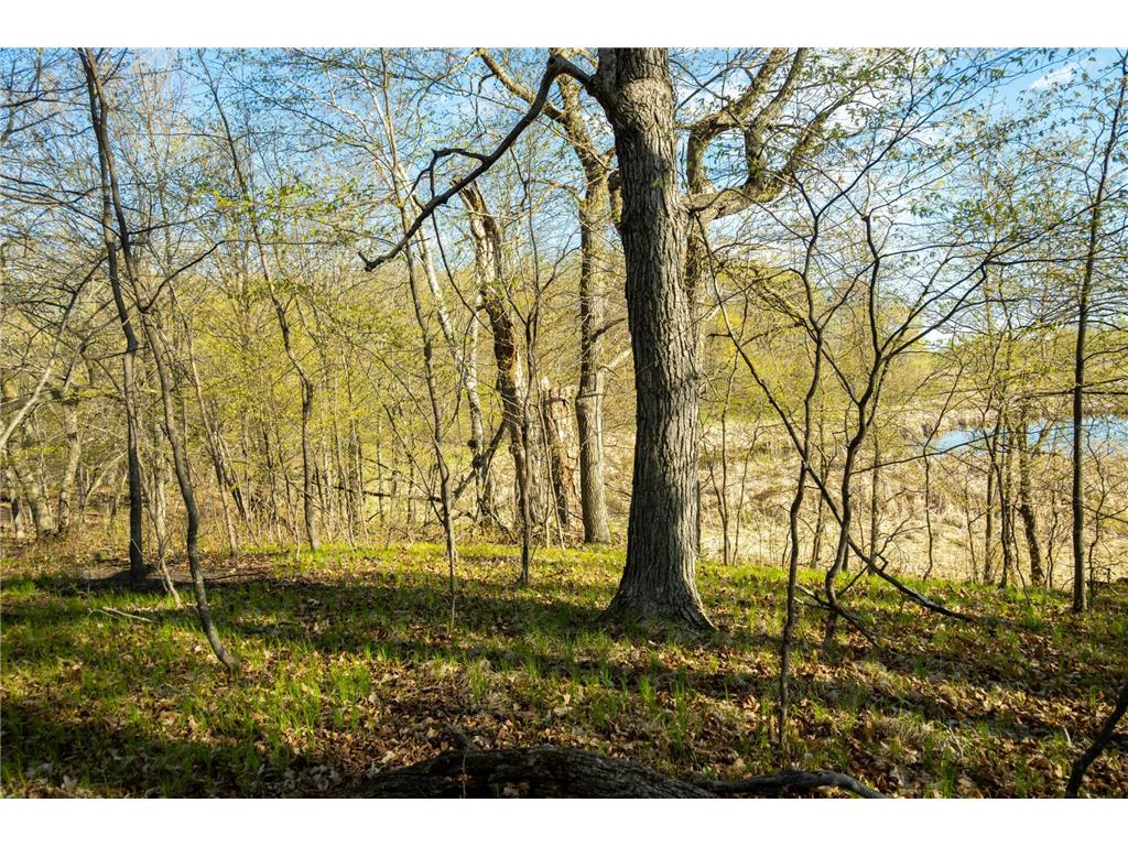 Tract 1 - TBD State Highway 108 Lida Twp MN 56572 7091642 image23