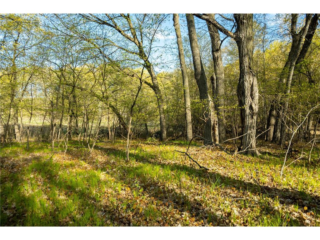 Tract 1 - TBD State Highway 108 Lida Twp MN 56572 7091642 image24