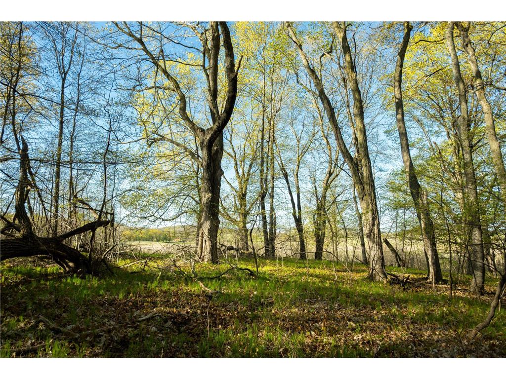 Tract 1 - TBD State Highway 108 Lida Twp MN 56572 7091642 image25
