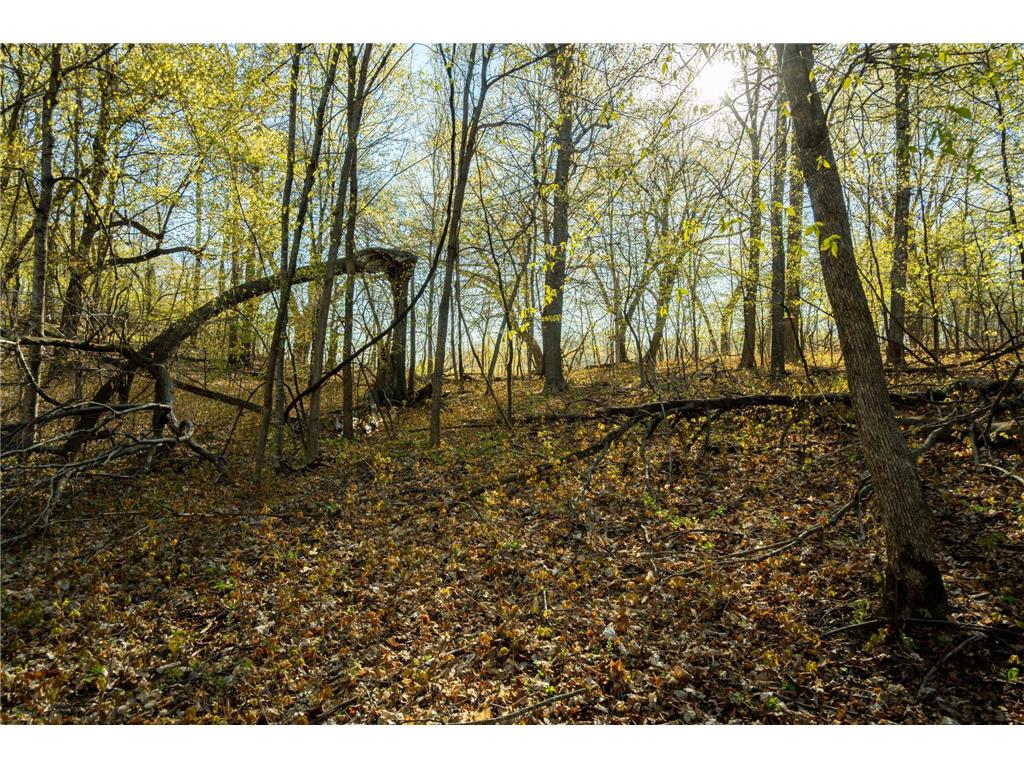 Tract 1 - TBD State Highway 108 Lida Twp MN 56572 7091642 image26