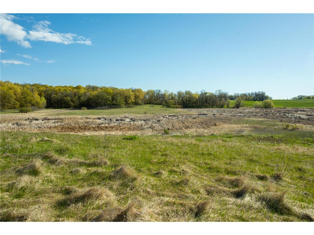Tract 2 - TBD State Highway 108 Lida Twp MN 56572 7091678 image13