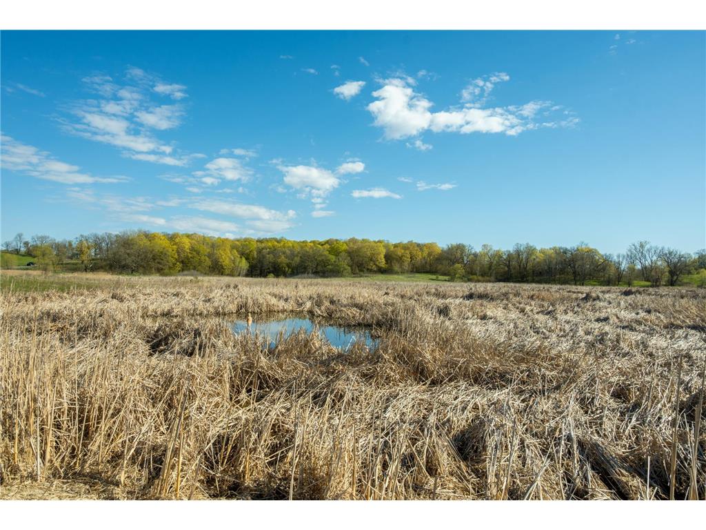 Tract 2 - TBD State Highway 108 Lida Twp MN 56572 7091678 image15