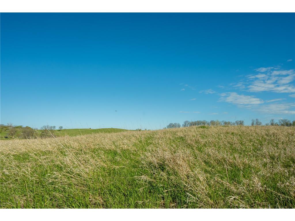 Tract 2 - TBD State Highway 108 Lida Twp MN 56572 7091678 image17