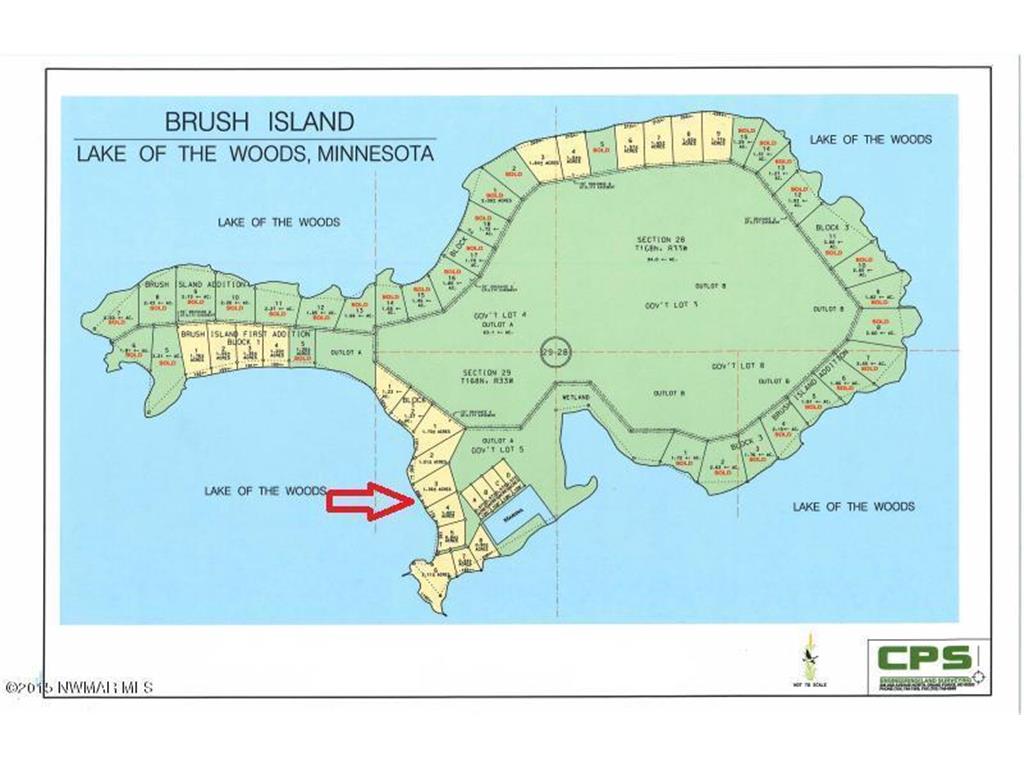 Tract 3 Brush Island Angle Inlet MN 56711 - Lake of The Woods 6561299 image1