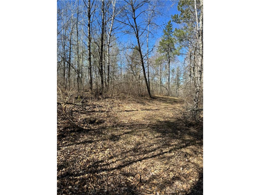 Tract 3 County 13 Nevis MN 56467 6530453 image1