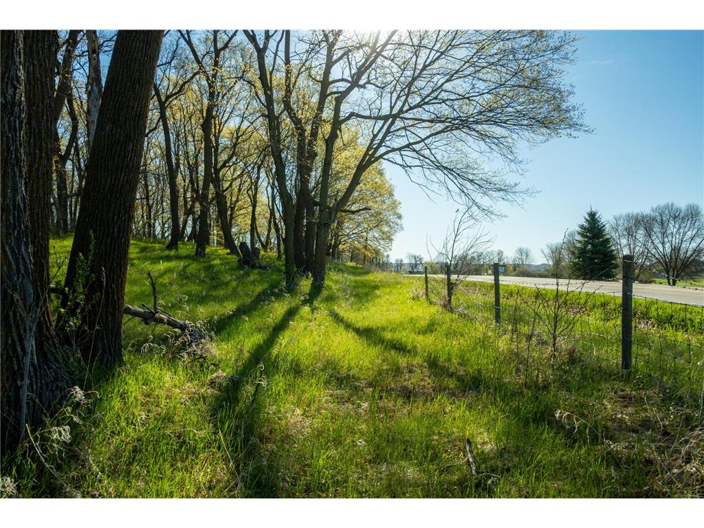 Tract 3 - TBD State Highway 108 Lida Twp MN 56572 7091701 image12
