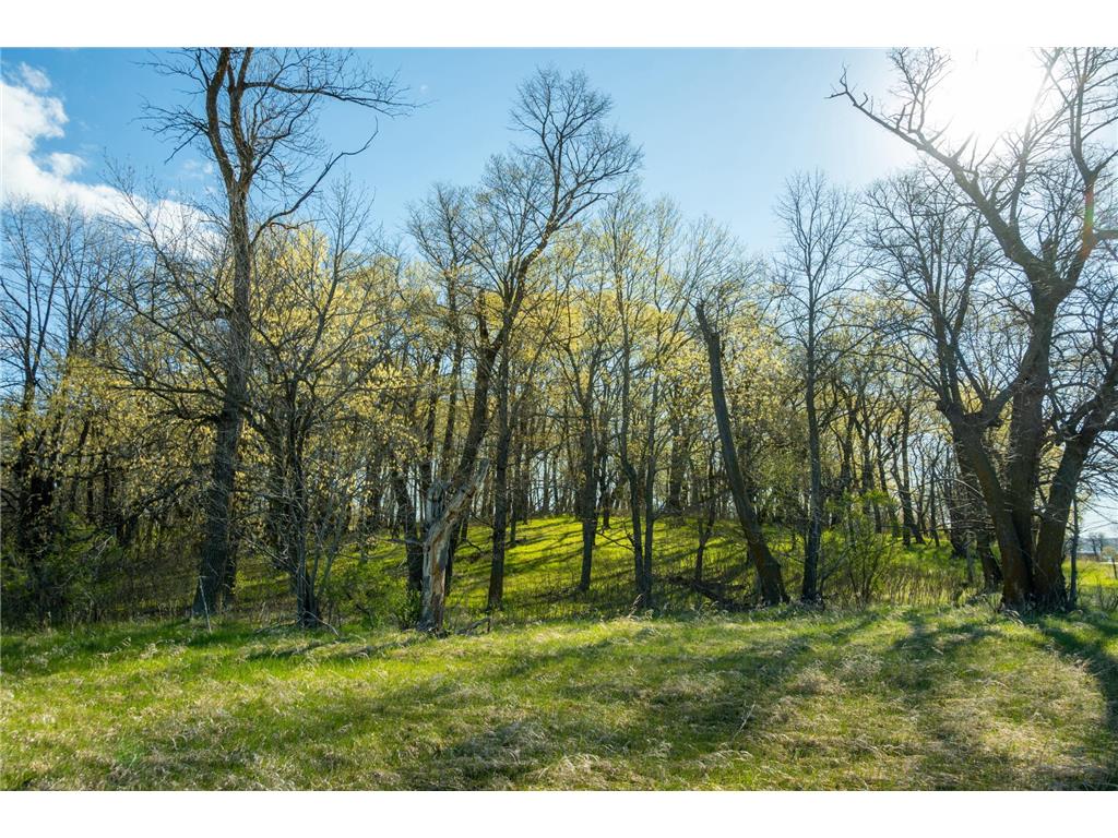 Tract 3 - TBD State Highway 108 Lida Twp MN 56572 7091701 image13