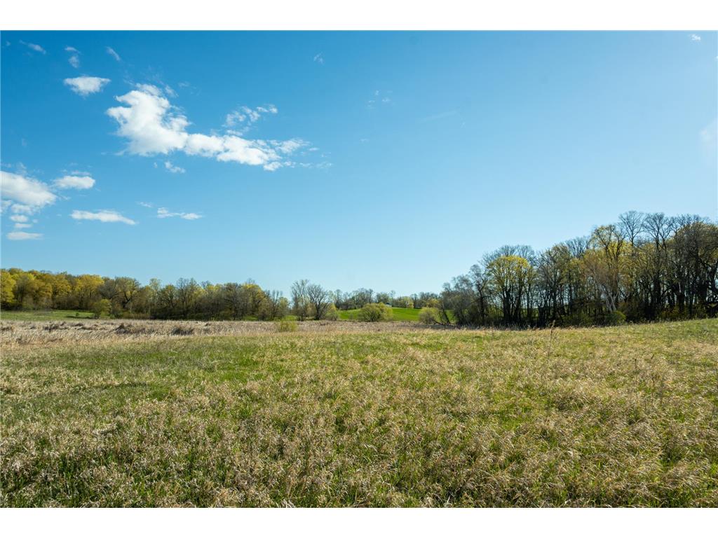 Tract 3 - TBD State Highway 108 Lida Twp MN 56572 7091701 image15