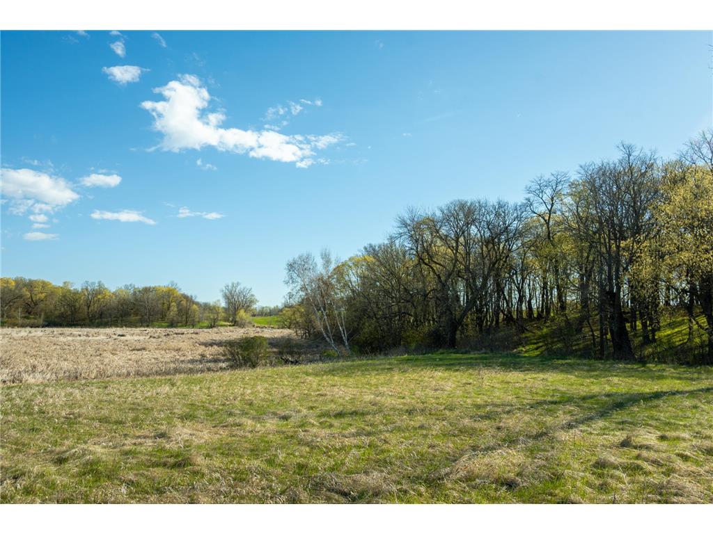 Tract 3 - TBD State Highway 108 Lida Twp MN 56572 7091701 image16