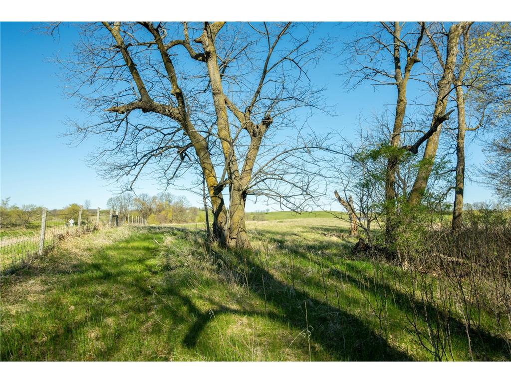 Tract 3 - TBD State Highway 108 Lida Twp MN 56572 7091701 image17