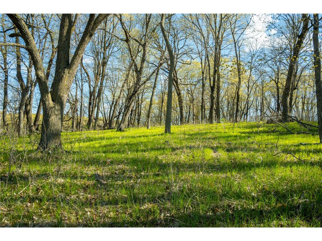 Tract 3 - TBD State Highway 108 Lida Twp MN 56572 7091701 image18
