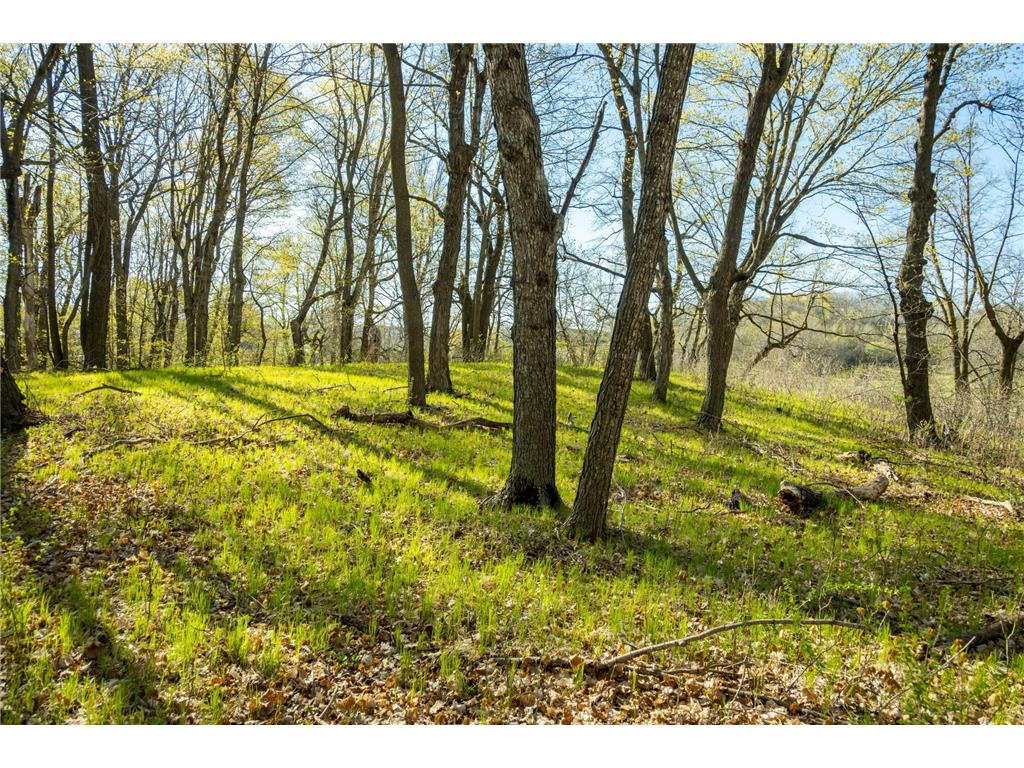 Tract 3 - TBD State Highway 108 Lida Twp MN 56572 7091701 image19