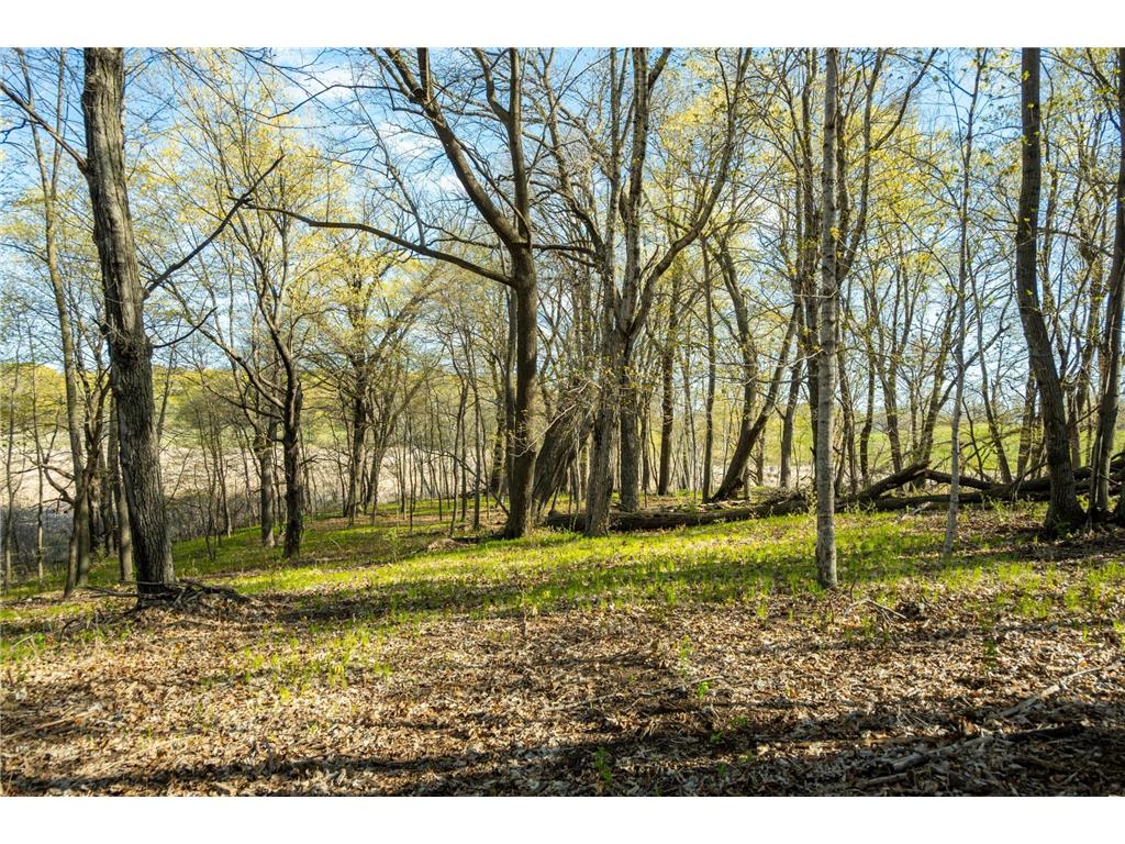 Tract 3 - TBD State Highway 108 Lida Twp MN 56572 7091701 image20