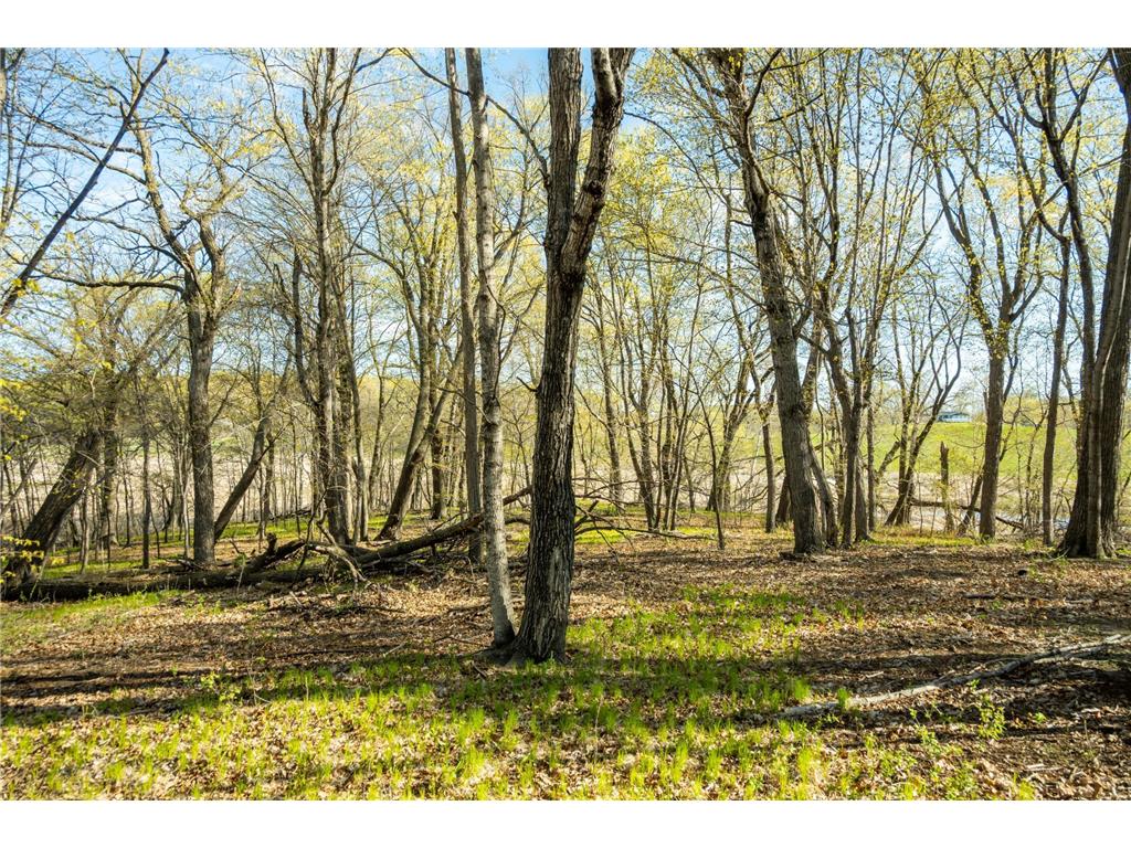 Tract 3 - TBD State Highway 108 Lida Twp MN 56572 7091701 image21