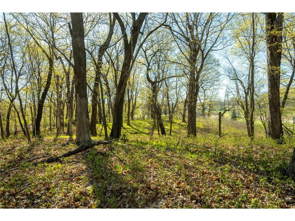 Tract 3 - TBD State Highway 108 Lida Twp MN 56572 7091701 image22