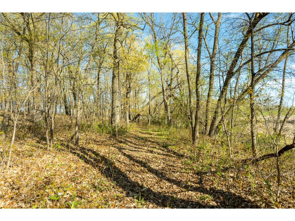 Tract 3 - TBD State Highway 108 Lida Twp MN 56572 7091701 image23