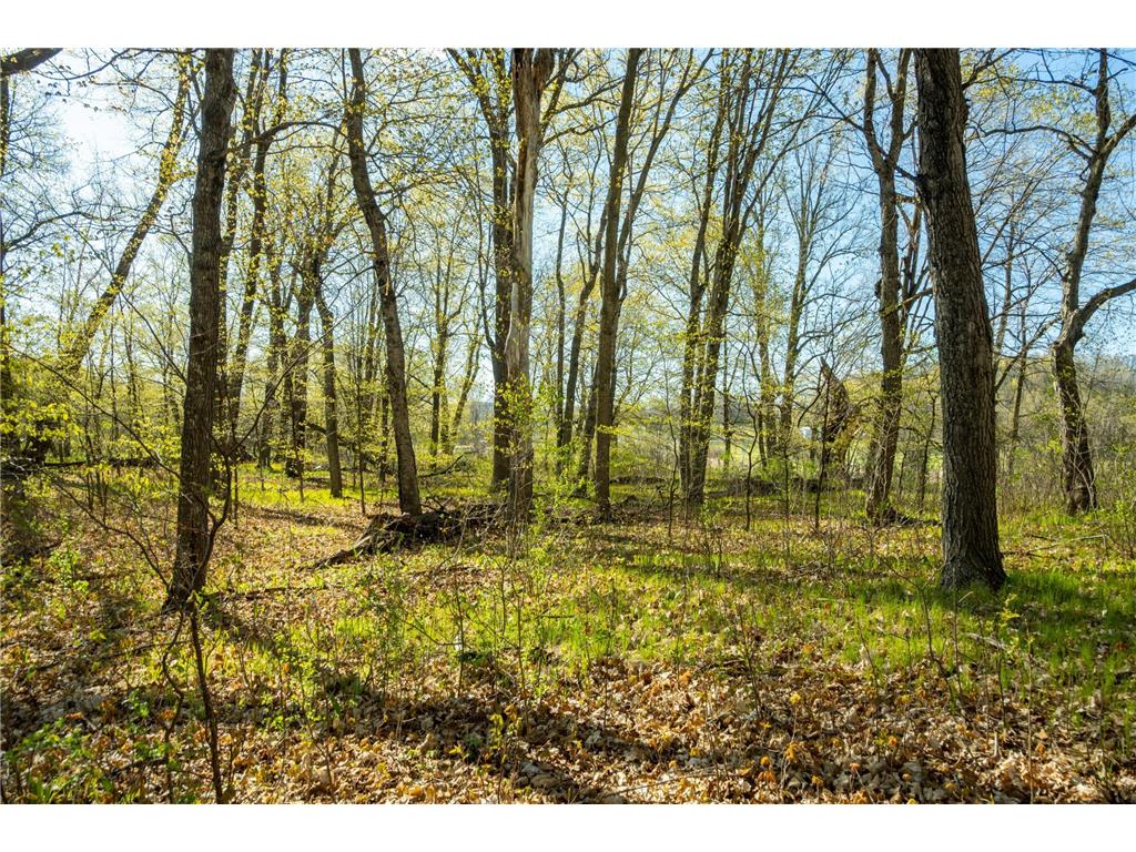 Tract 3 - TBD State Highway 108 Lida Twp MN 56572 7091701 image24