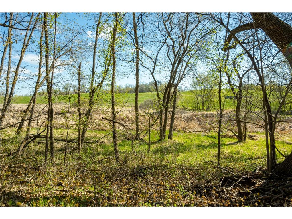 Tract 3 - TBD State Highway 108 Lida Twp MN 56572 7091701 image25