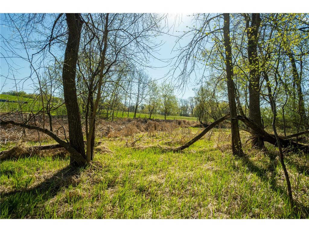 Tract 3 - TBD State Highway 108 Lida Twp MN 56572 7091701 image26