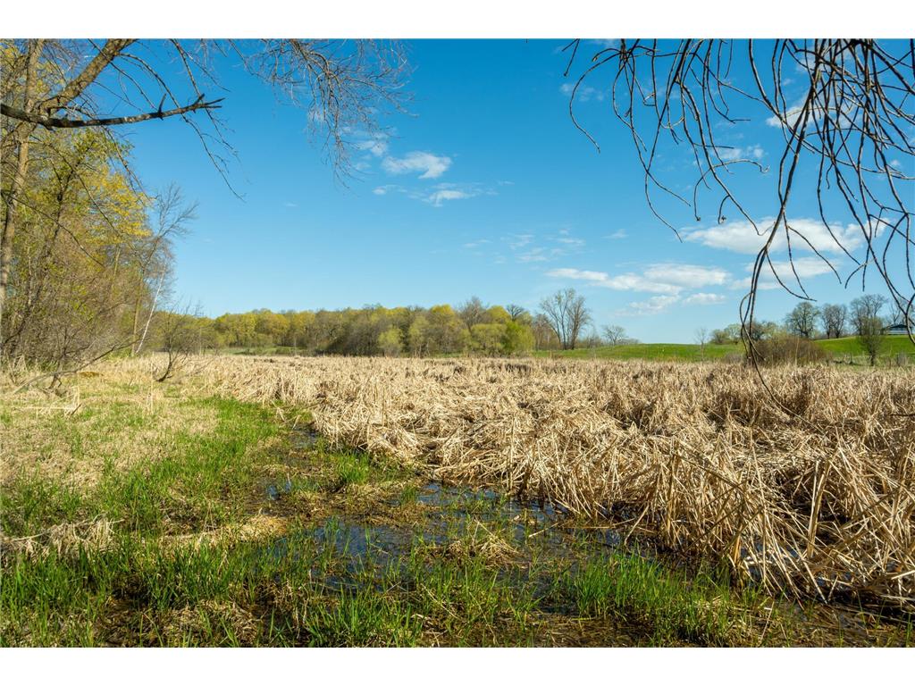 Tract 3 - TBD State Highway 108 Lida Twp MN 56572 7091701 image27