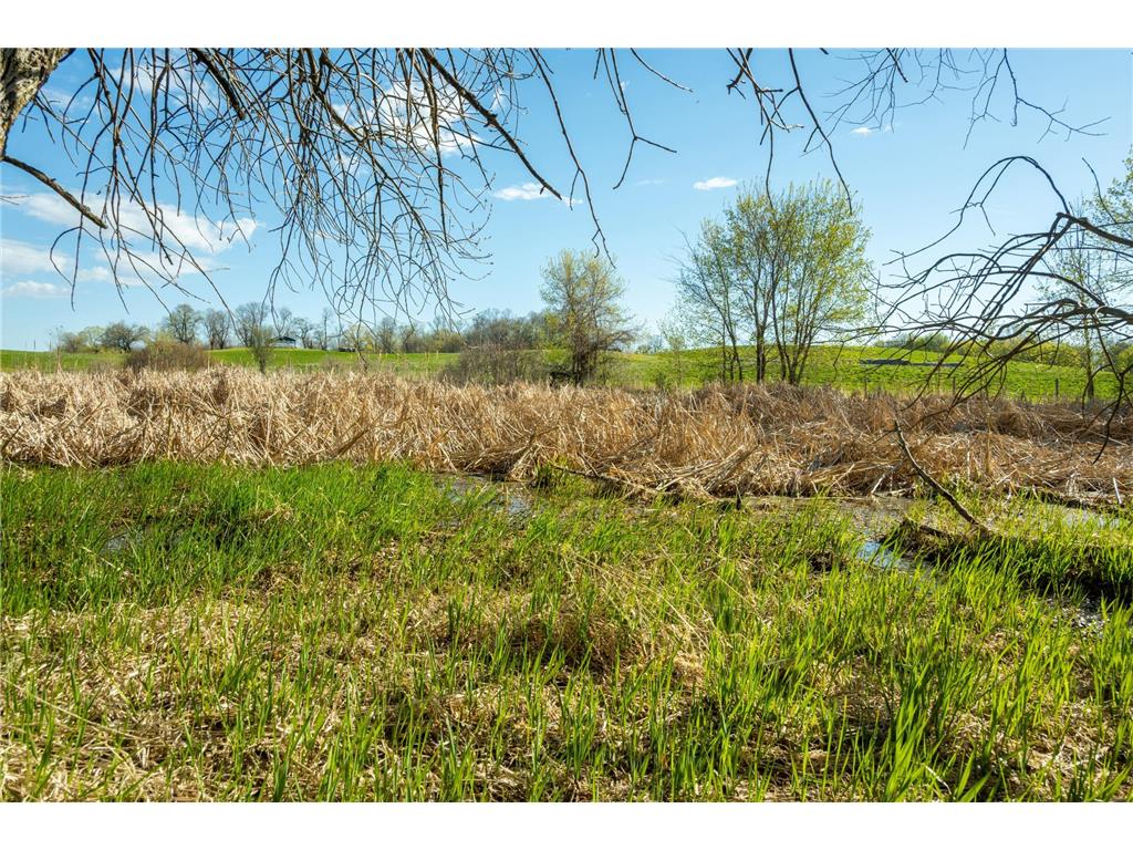 Tract 3 - TBD State Highway 108 Lida Twp MN 56572 7091701 image28