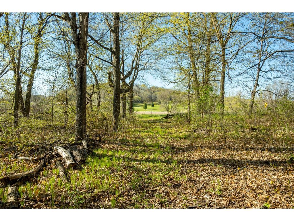 Tract 3 - TBD State Highway 108 Lida Twp MN 56572 7091701 image29