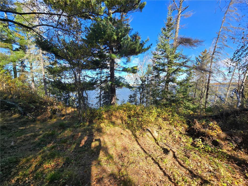 Tract 8 Brush Island Angle Twp MN 56711 - Lake of The Woods 6615933 image21