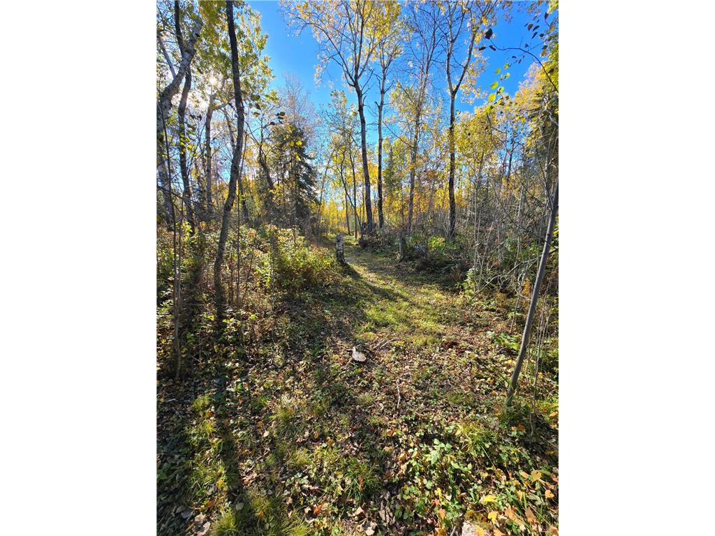 Tract 8 Brush Island Angle Twp MN 56711 - Lake of The Woods 6615933 image7