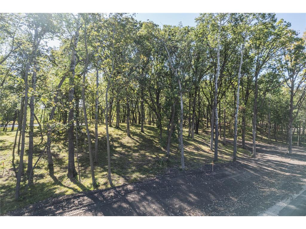 Tract A Blybergs Lane Pelican Rapids MN 56572 - Fish Lake 6609242 image25