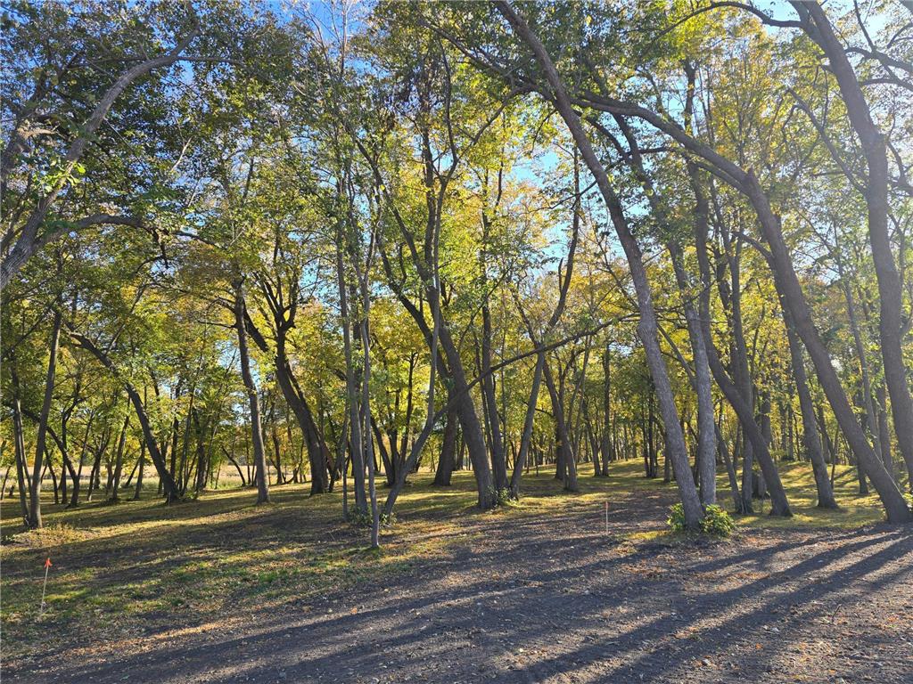 Tract A Blybergs Lane Pelican Rapids MN 56572 - Fish Lake 6609242 image41