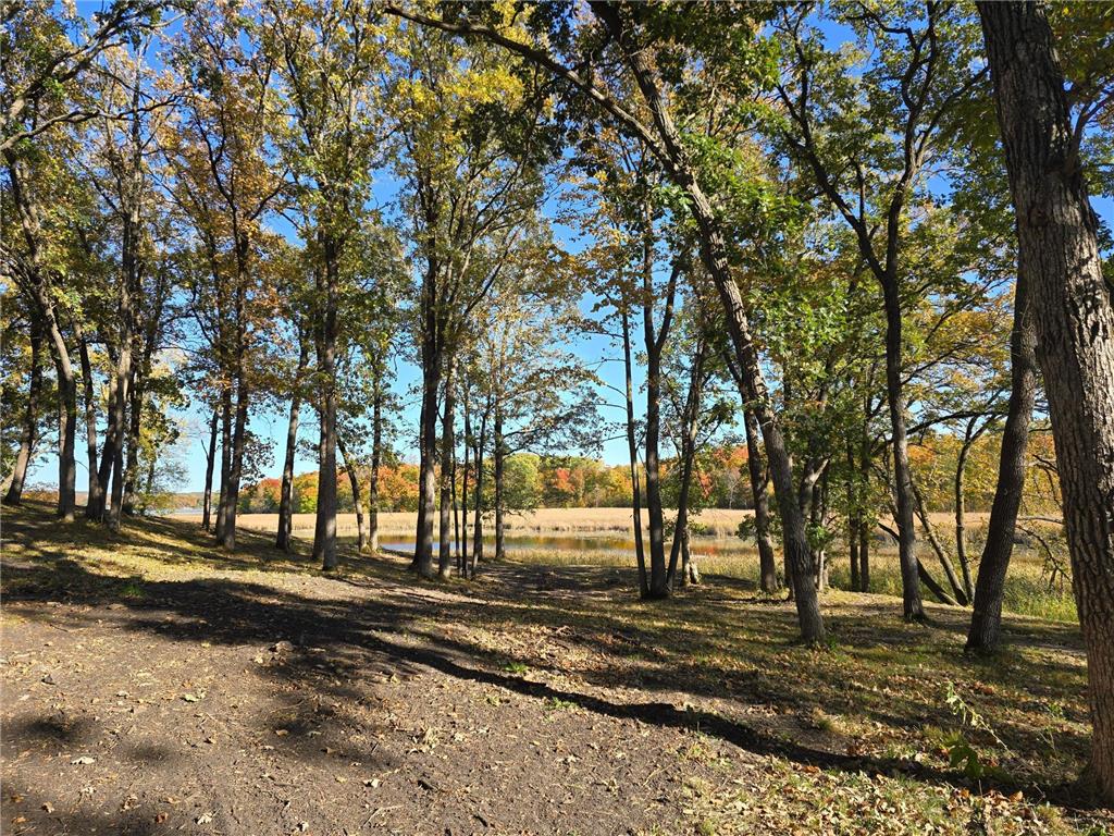 Tract A Blybergs Lane Pelican Rapids MN 56572 - Fish Lake 6609242 image44